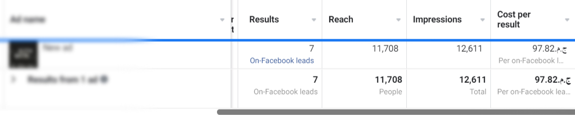 Real estate advertising results showing qualified lead volume with above-benchmark cost per lead